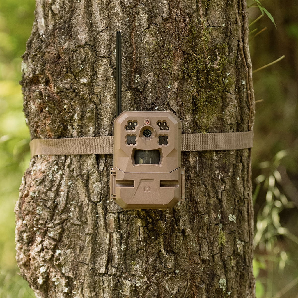 33MP Cellular Trail Camera with Built-in Memory (2-Pack) Q99752