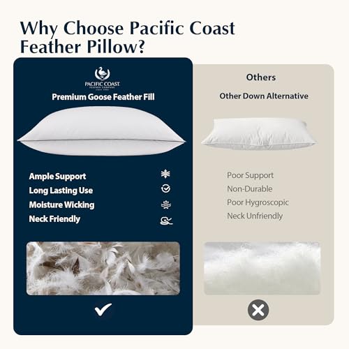 King Size 2 Pack Feather and Down Pillows J2661