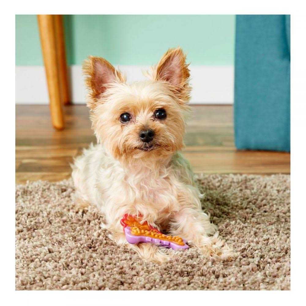 Chew 'n Clean Dental Duo Dog Chew Toy Treat O502