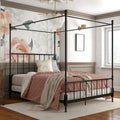 Black Queen Metal Canopy Bed P6567