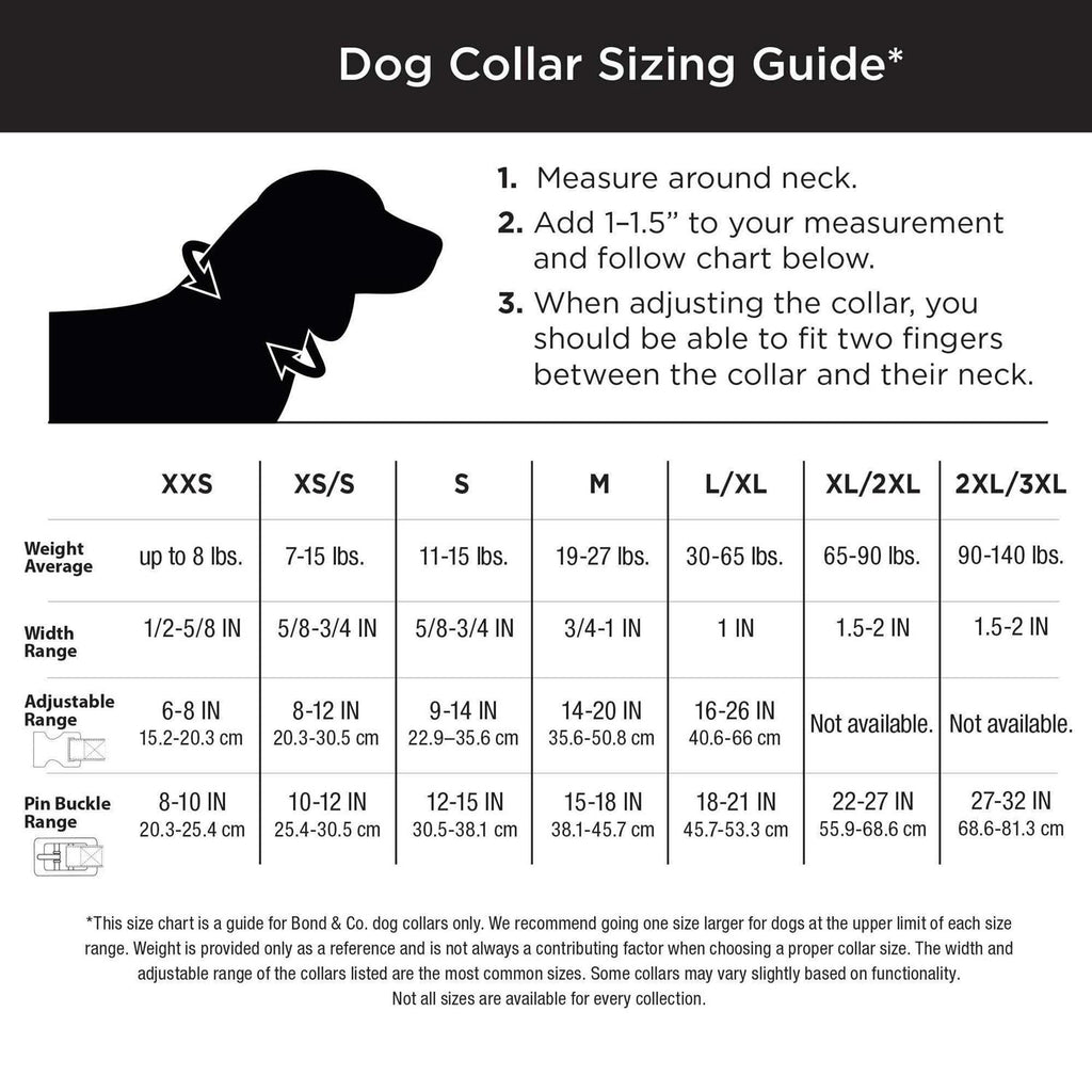 Purple Ombre Wipeable Dog Collar L698747