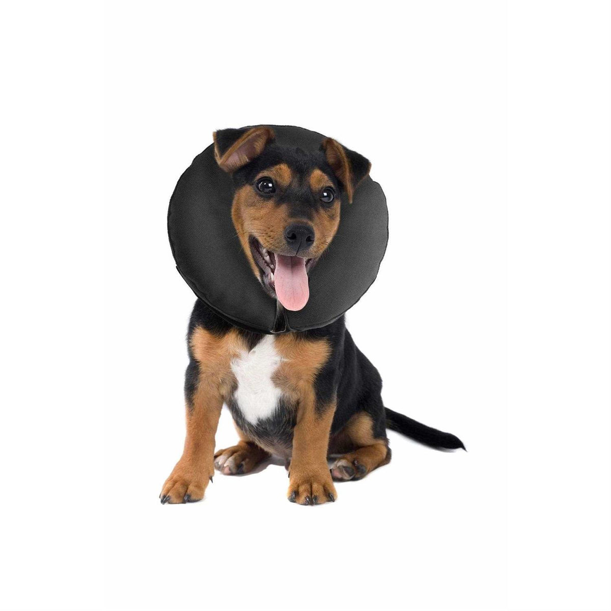Inflatable Recovery Collar Y433