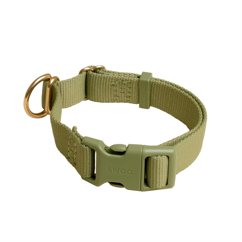 Standard Dog Collar I563