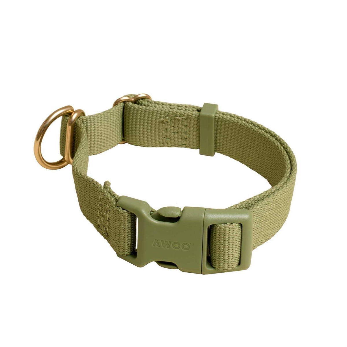 Standard Dog Collar I563