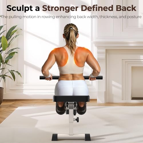 Compact Adjustable Rowing Machine 300LBS Weight Capacity 12 Levels Resistance Foldable Hydraulic Rower Q86963