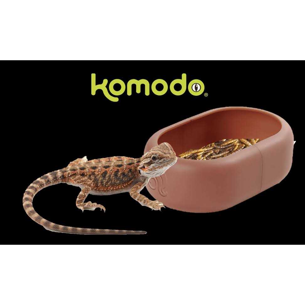 Smart Mealworm Reptile Feeding Dish B788595