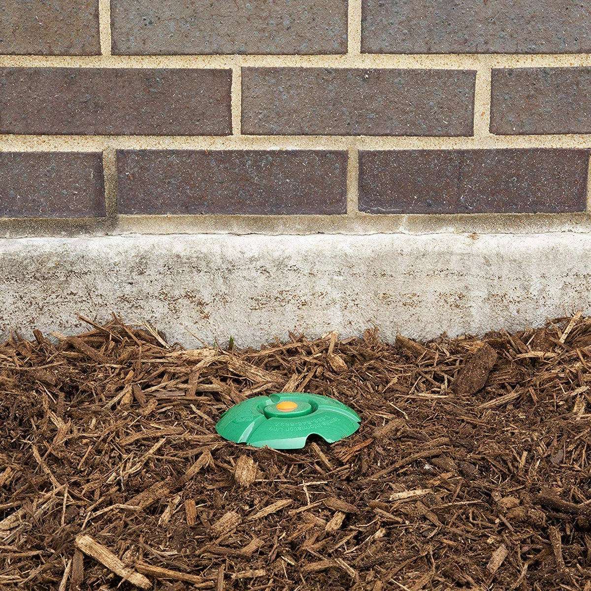 15-Count Termite Detection and Killing Stakes Q563264