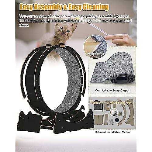 Large 40 inch Solid Wood Cat Exercise Wheel N6427