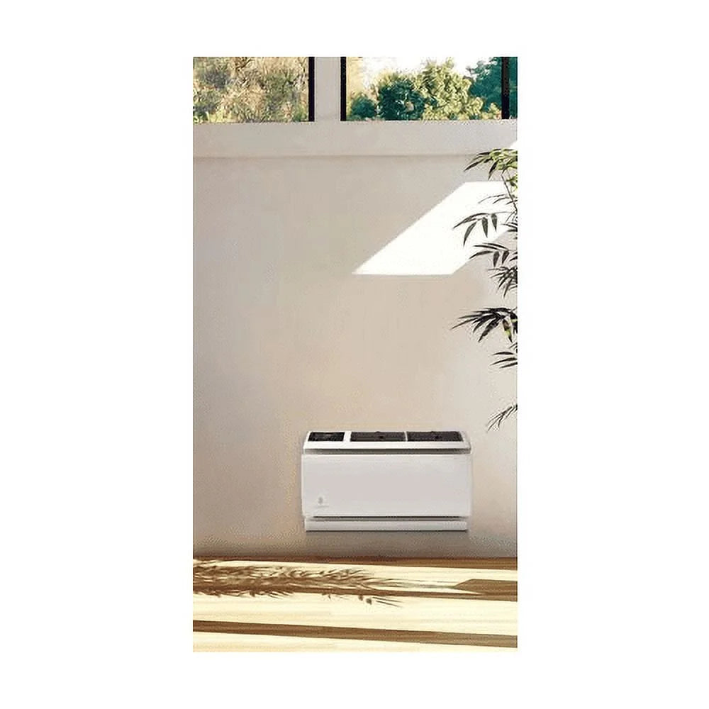 9800 BTU 115V Wall Air Conditioner W295815