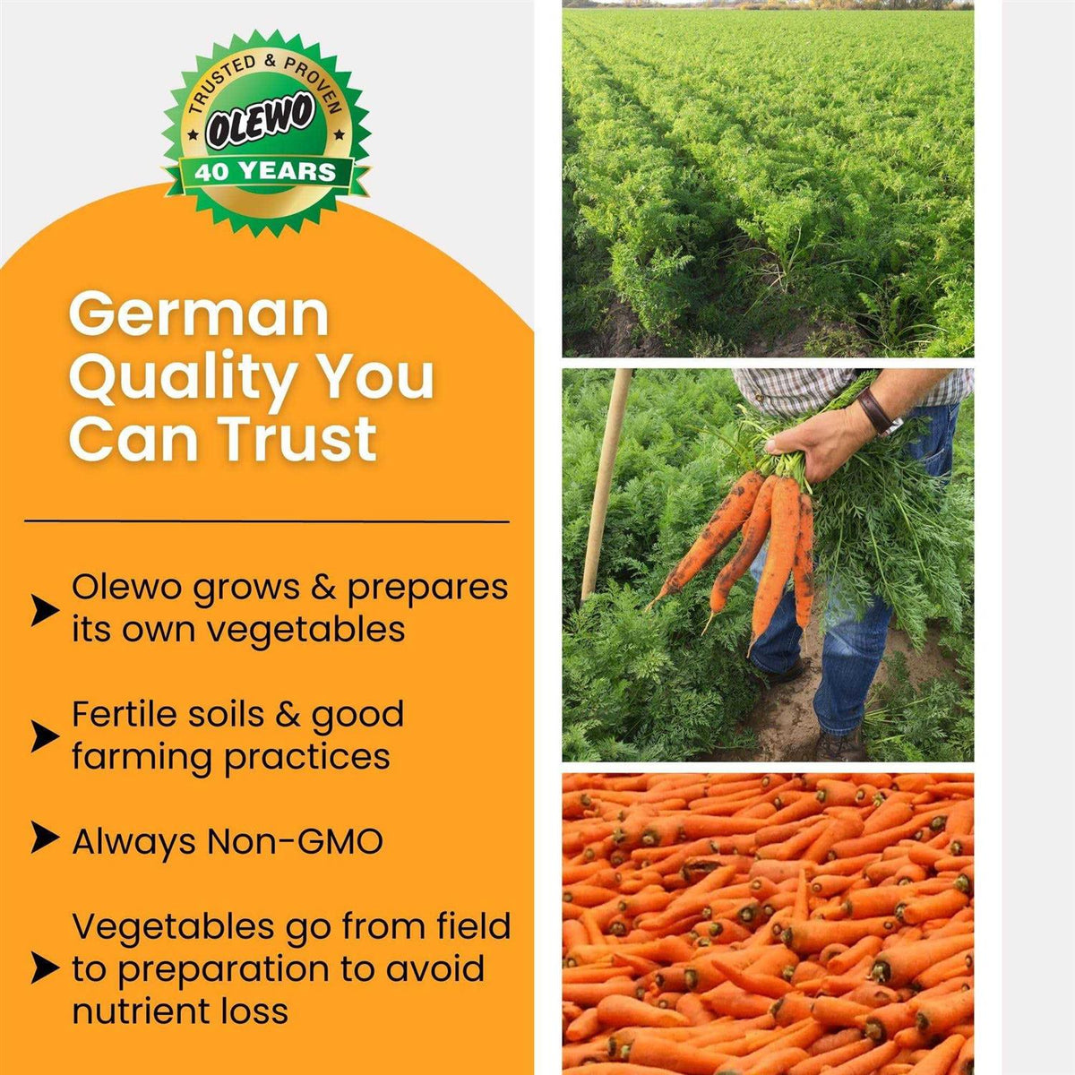 Carrots for Dogs Fiber Pet Supplies Q9775