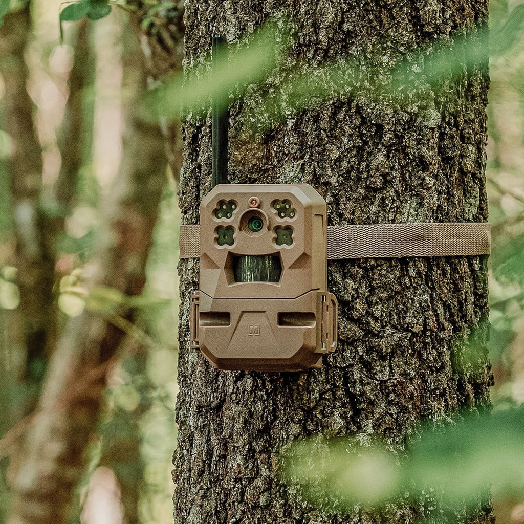 33MP Cellular Trail Camera with Built-in Memory (2-Pack) Q99752