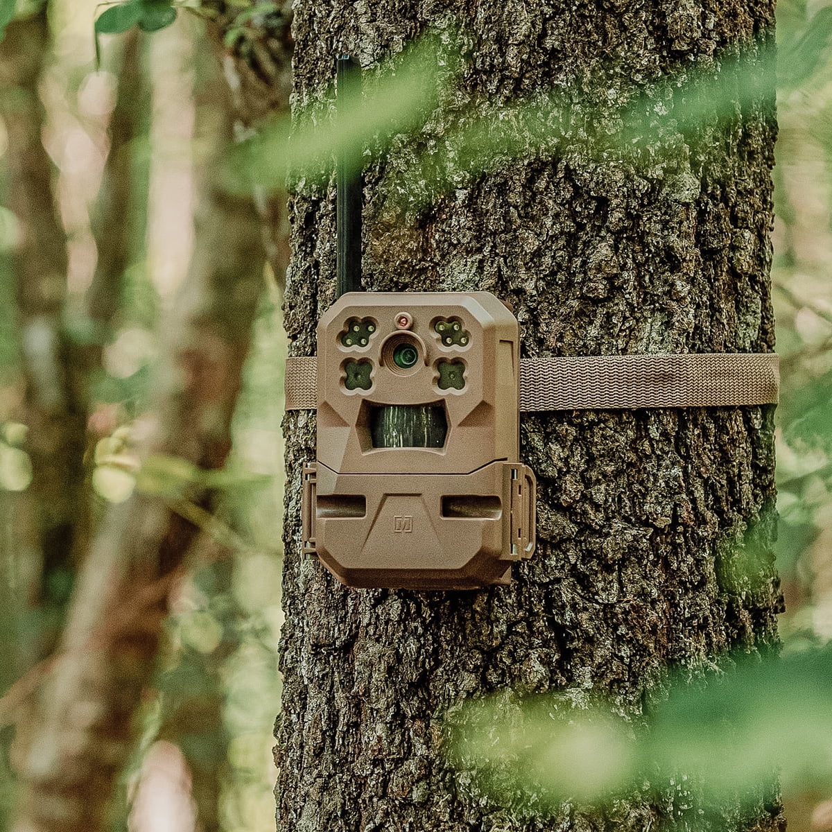 33MP Cellular Trail Camera with Built-in Memory (2-Pack) Q99752