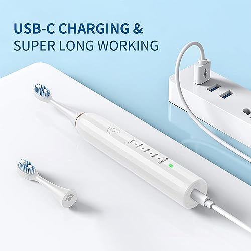 Rechargeable Electric Toothbrush with 4 Heads 5 Modes Black R173