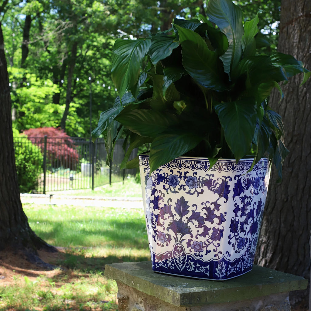 Blue and White Ceramic Planter J539109