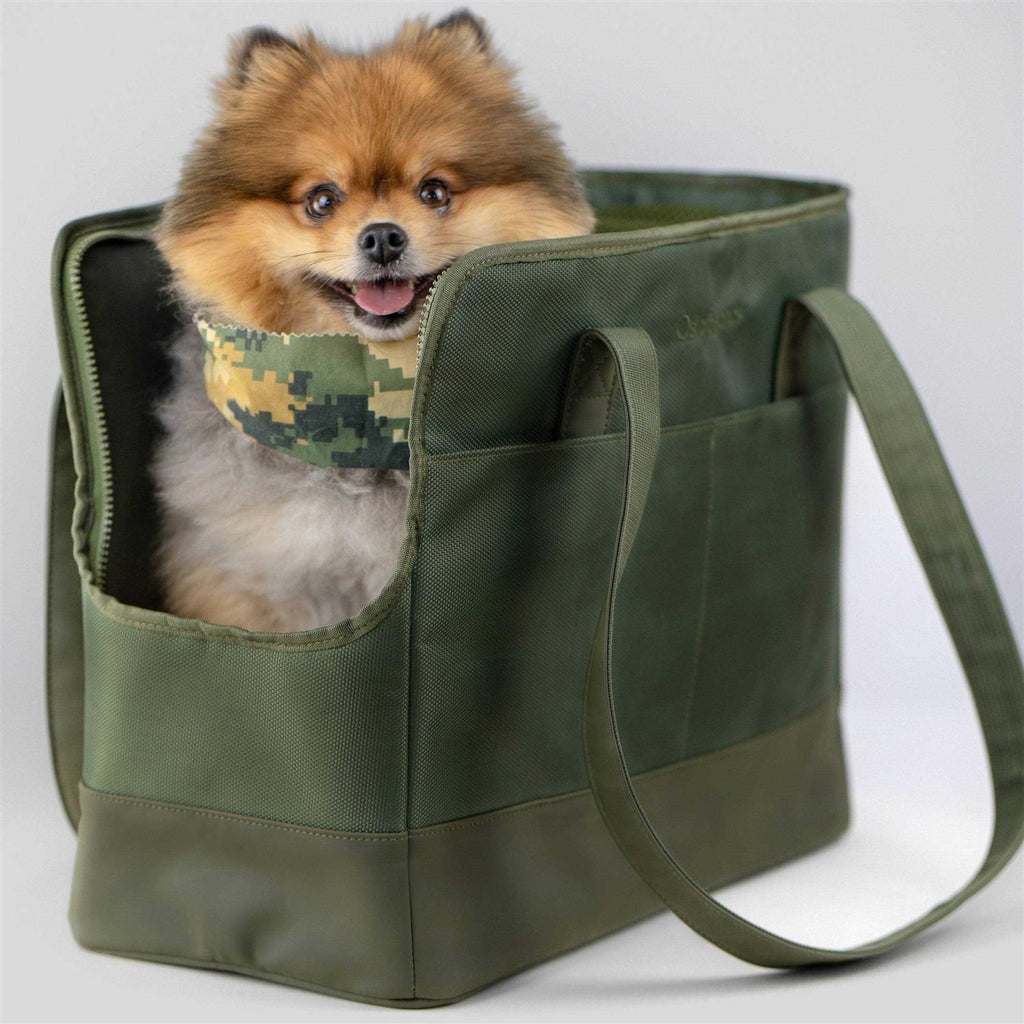 Pet Tote Bag for Small Dogs and Cats J200233