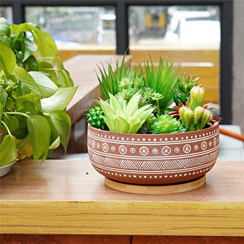 8 Inch Terracotta Succulent Planter Pot with Drainage Hole and Bamboo Tray D695