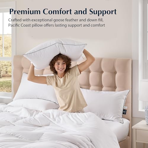 King Size 2 Pack Feather and Down Pillows J2661