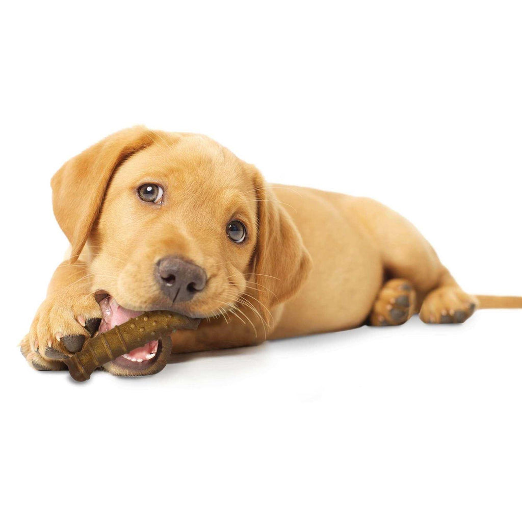 Puppy Chew Treats F458616