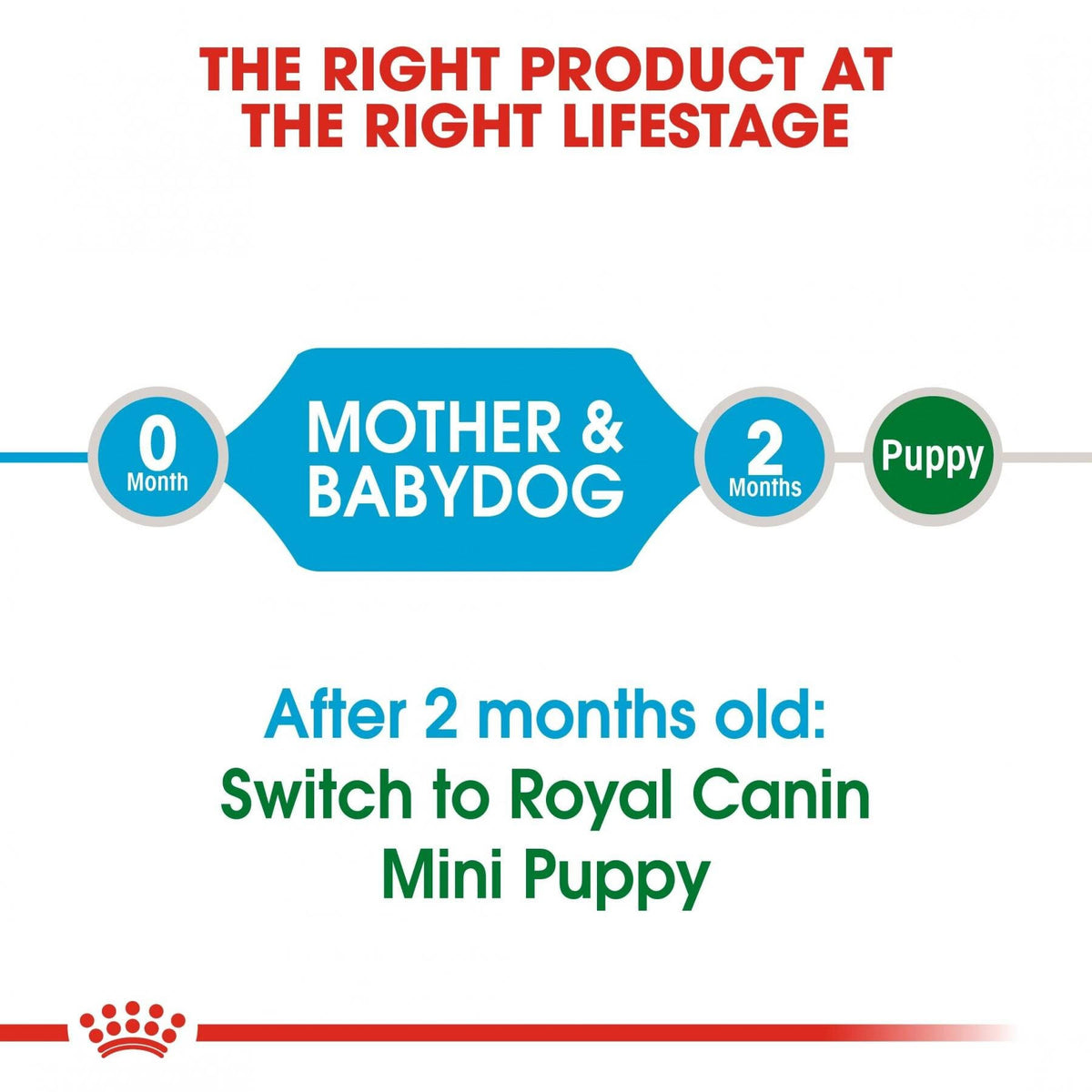 Mini Starter Junior 3kg C452