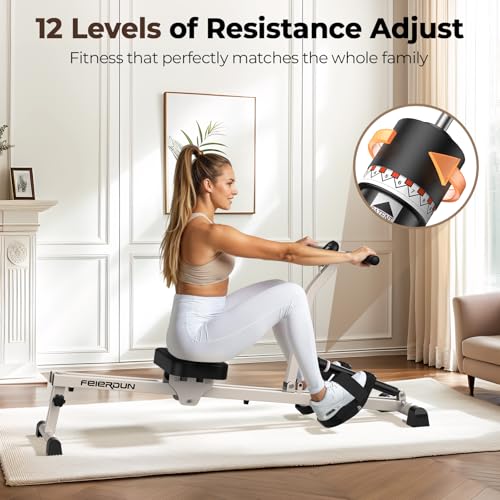 Compact Adjustable Rowing Machine 300LBS Weight Capacity 12 Levels Resistance Foldable Hydraulic Rower Q86963