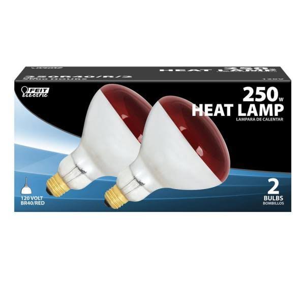 250-Watt 120-Volt Incandescent Red Heat Lamp Light Bulb 12-Pack G150