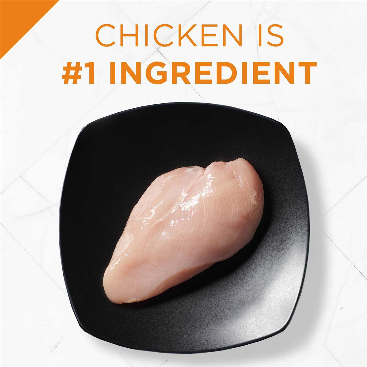 Chicken & Rice Dry Dog Food N5642