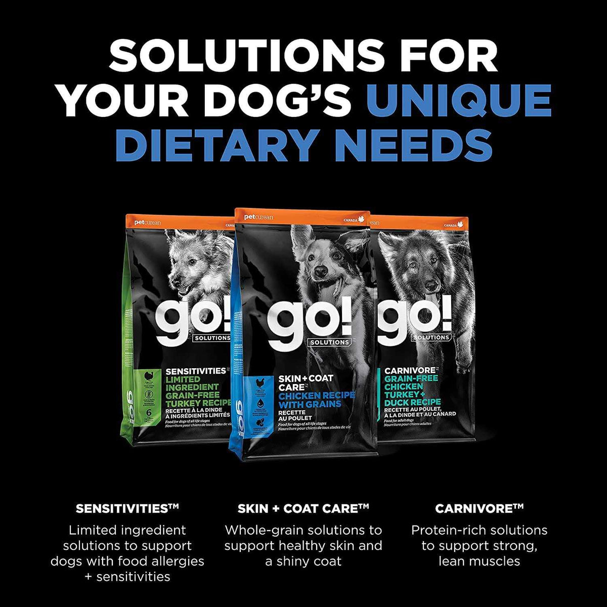 Chicken Recipe Dry Dog Food G219024