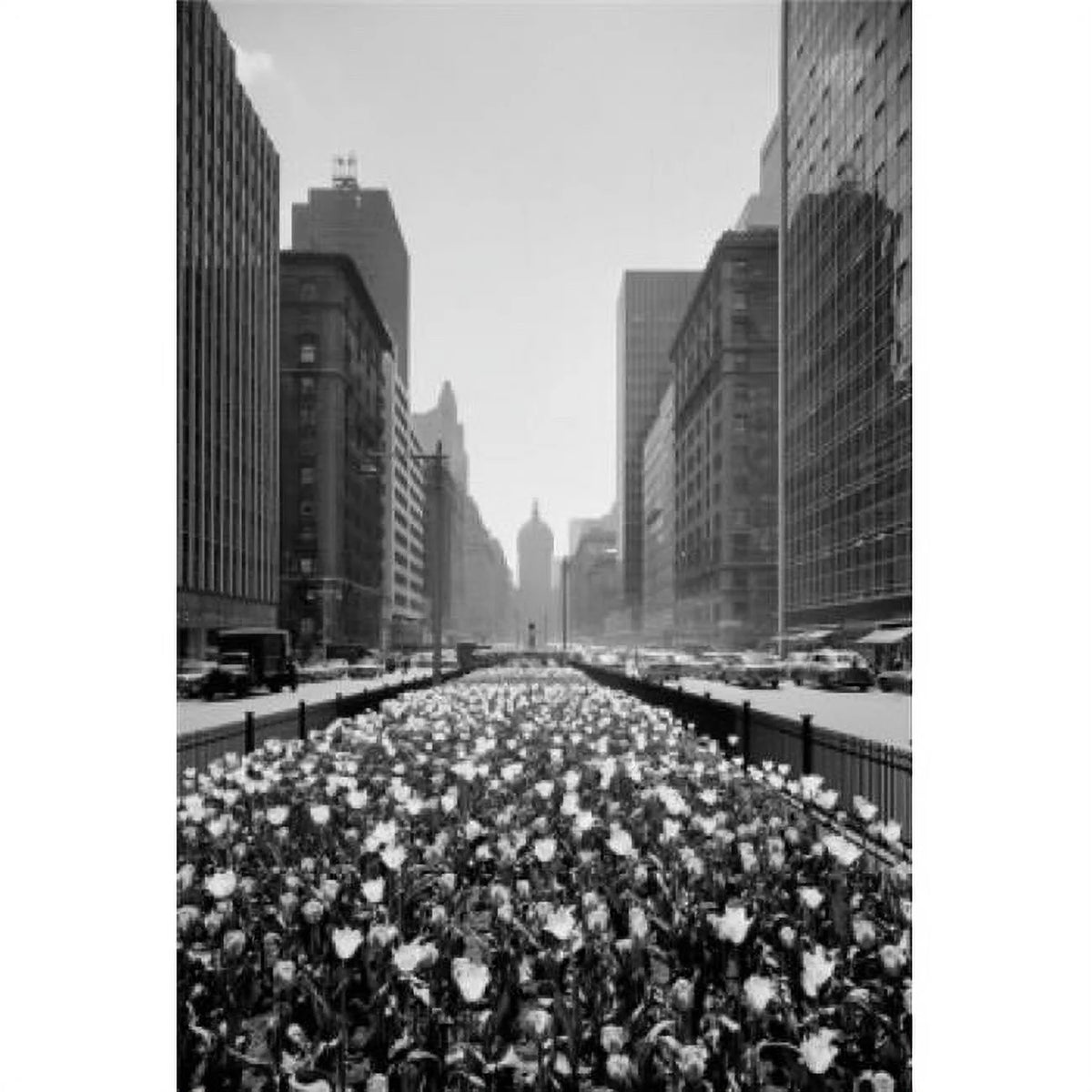 New York City Poster Print 18 x 24 in. N419