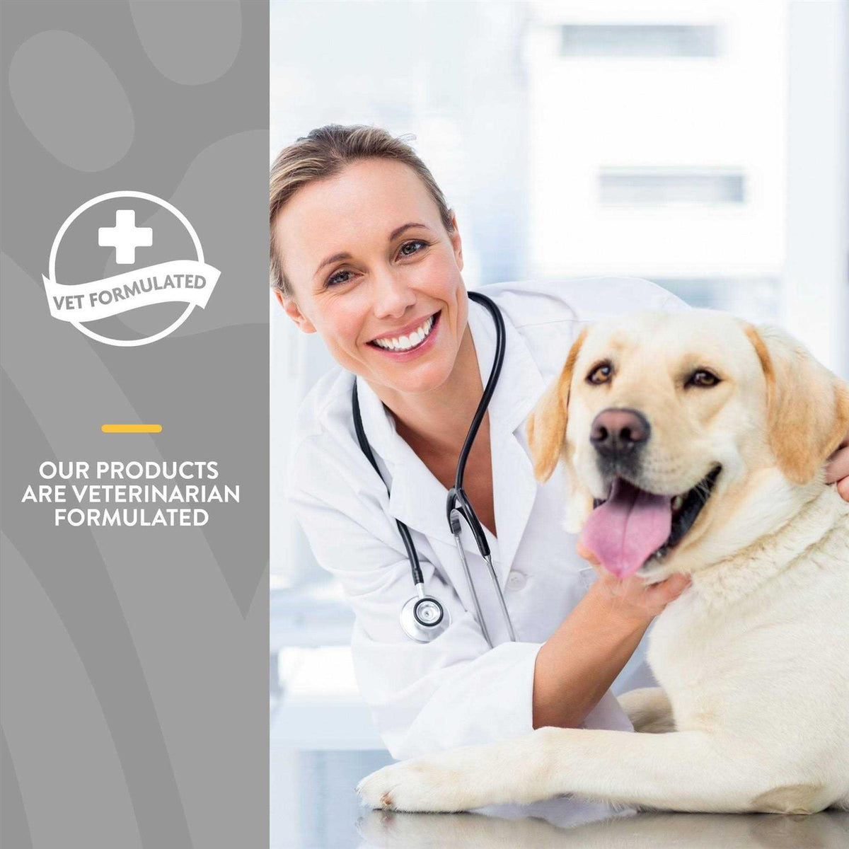 Senior Advanced Joint Health Soft Chews E904519