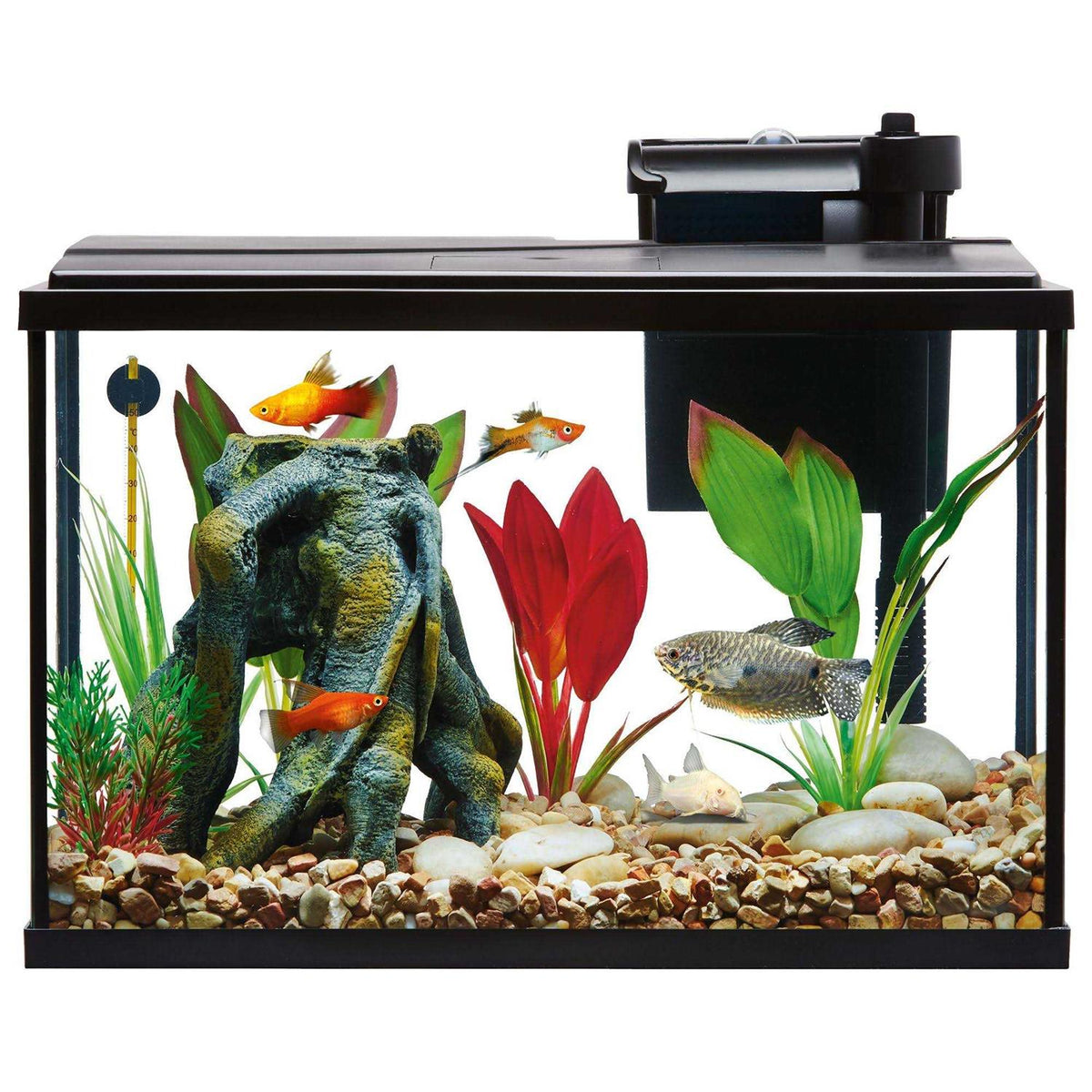 Aquarium Tank Starter Kit F2222