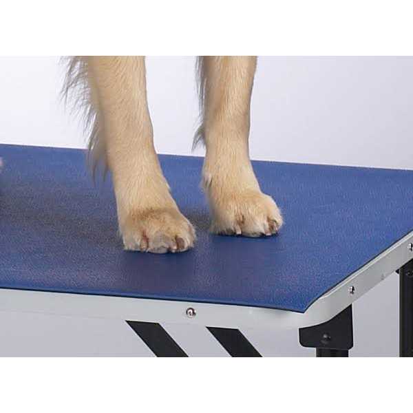 Table Mat N174058