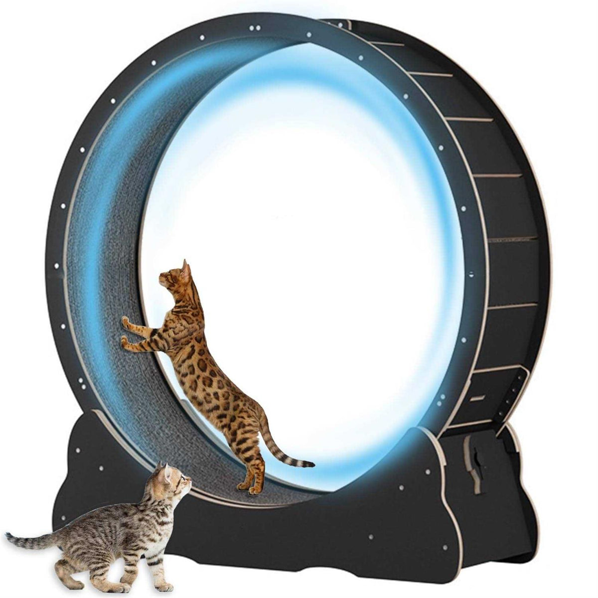 Large 40 inch Solid Wood Cat Exercise Wheel N6427