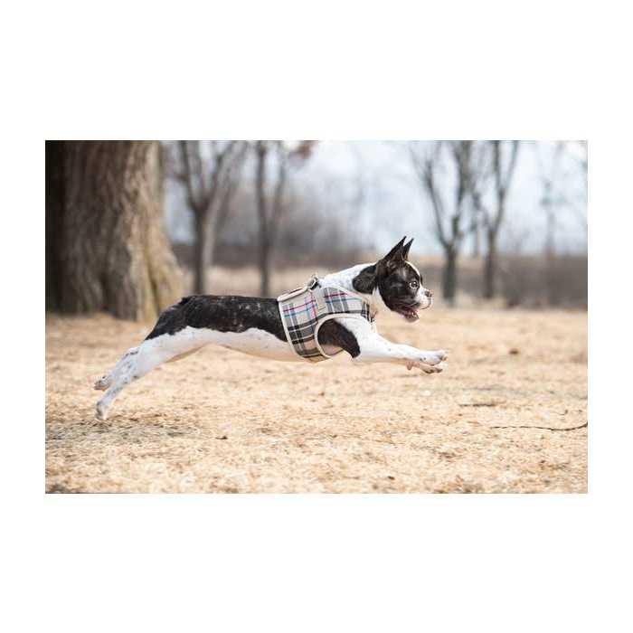 Pet Harness G15772