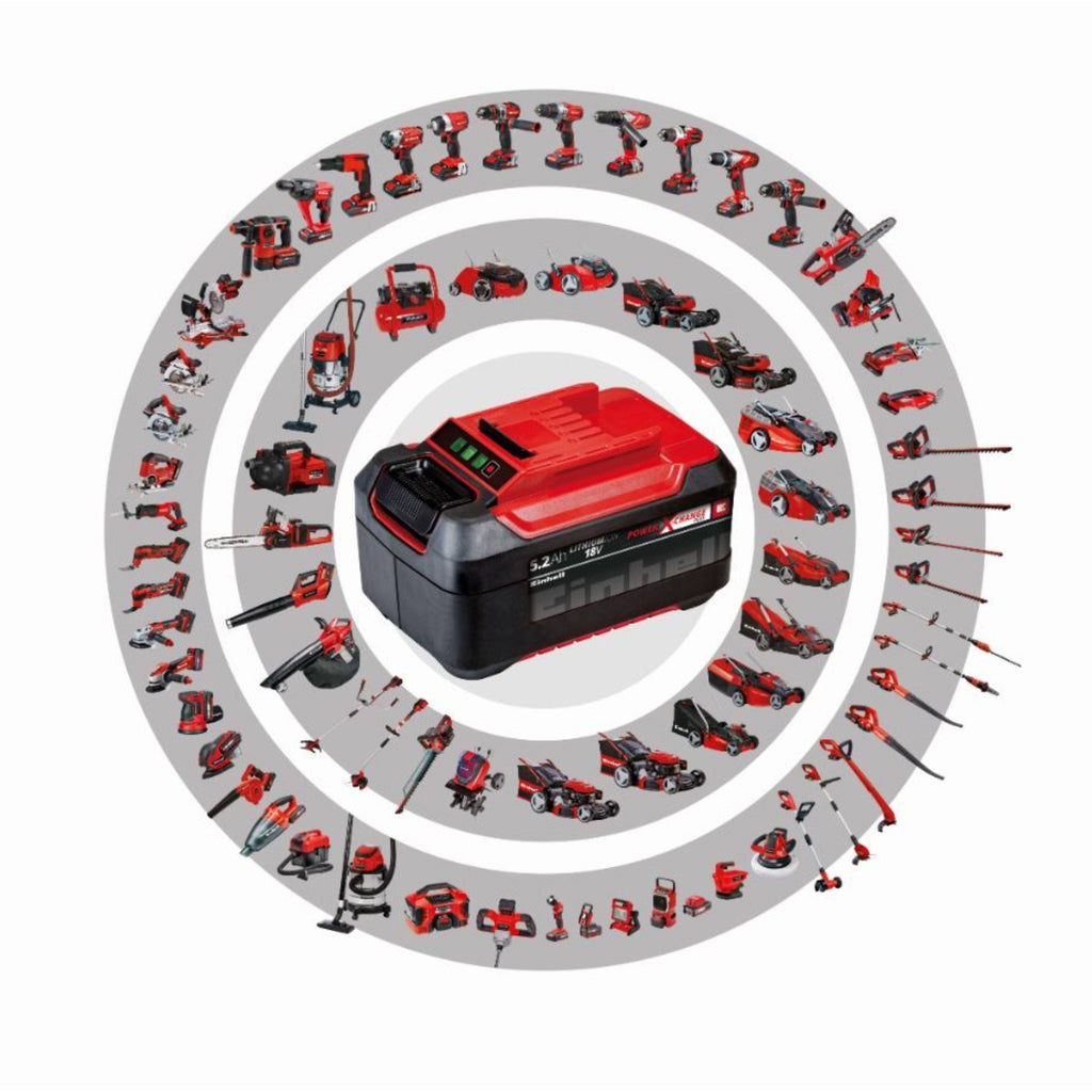 Cordless Car Polisher, 10-Inch, Tool Only N25409