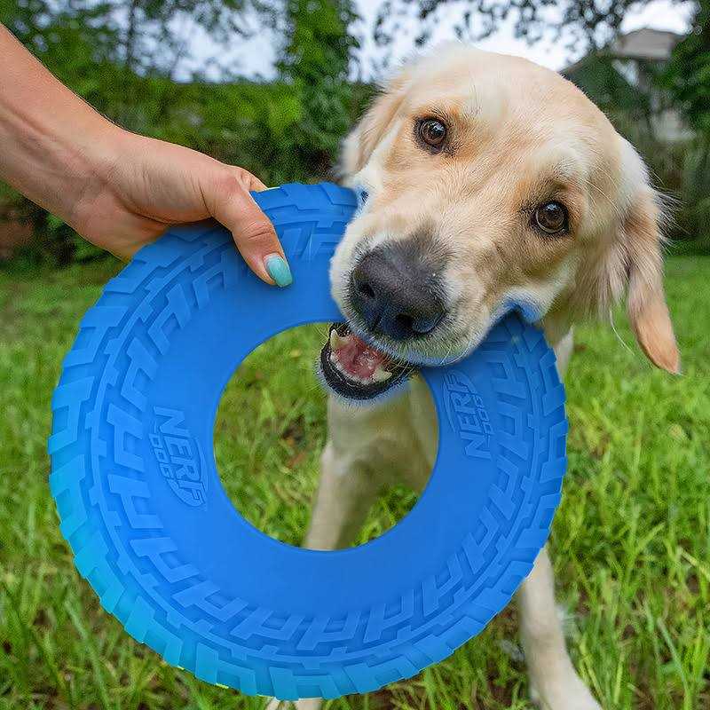 Dog Toy X153