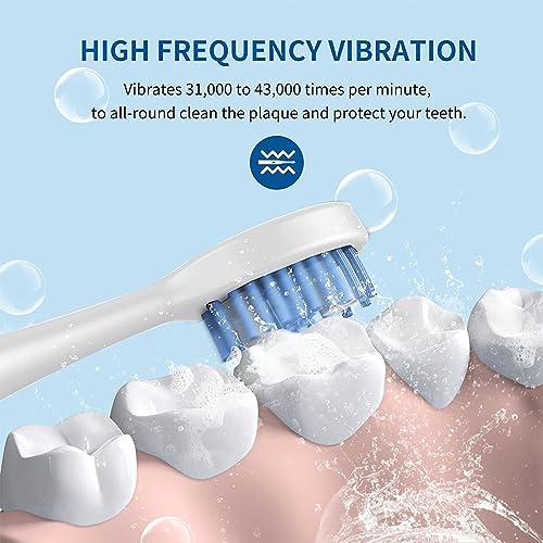 Rechargeable Electric Toothbrush with 4 Heads 5 Modes Black R173