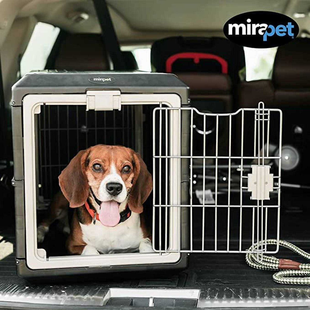 Fold Up Pet Carrier & Crate S940