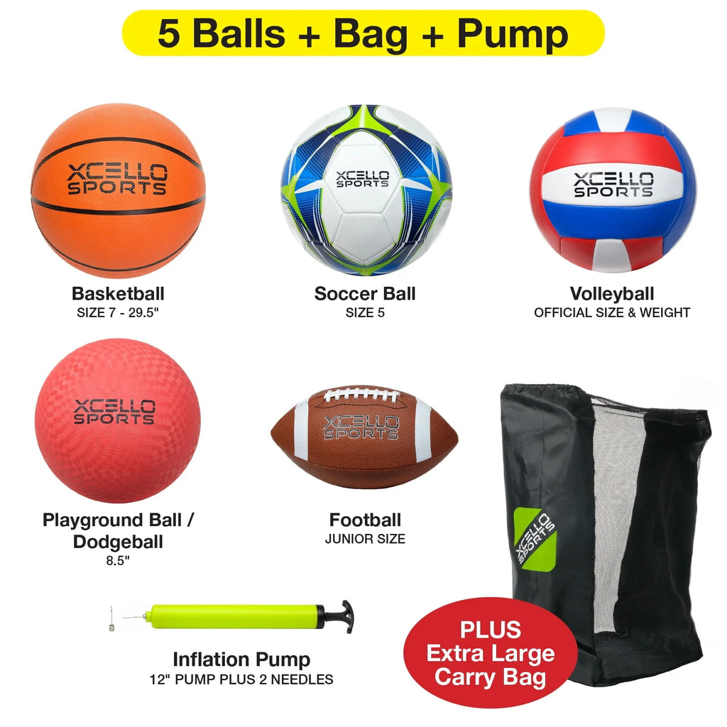 5 Ball Assortment with Ball Pump and Carry Bag I646