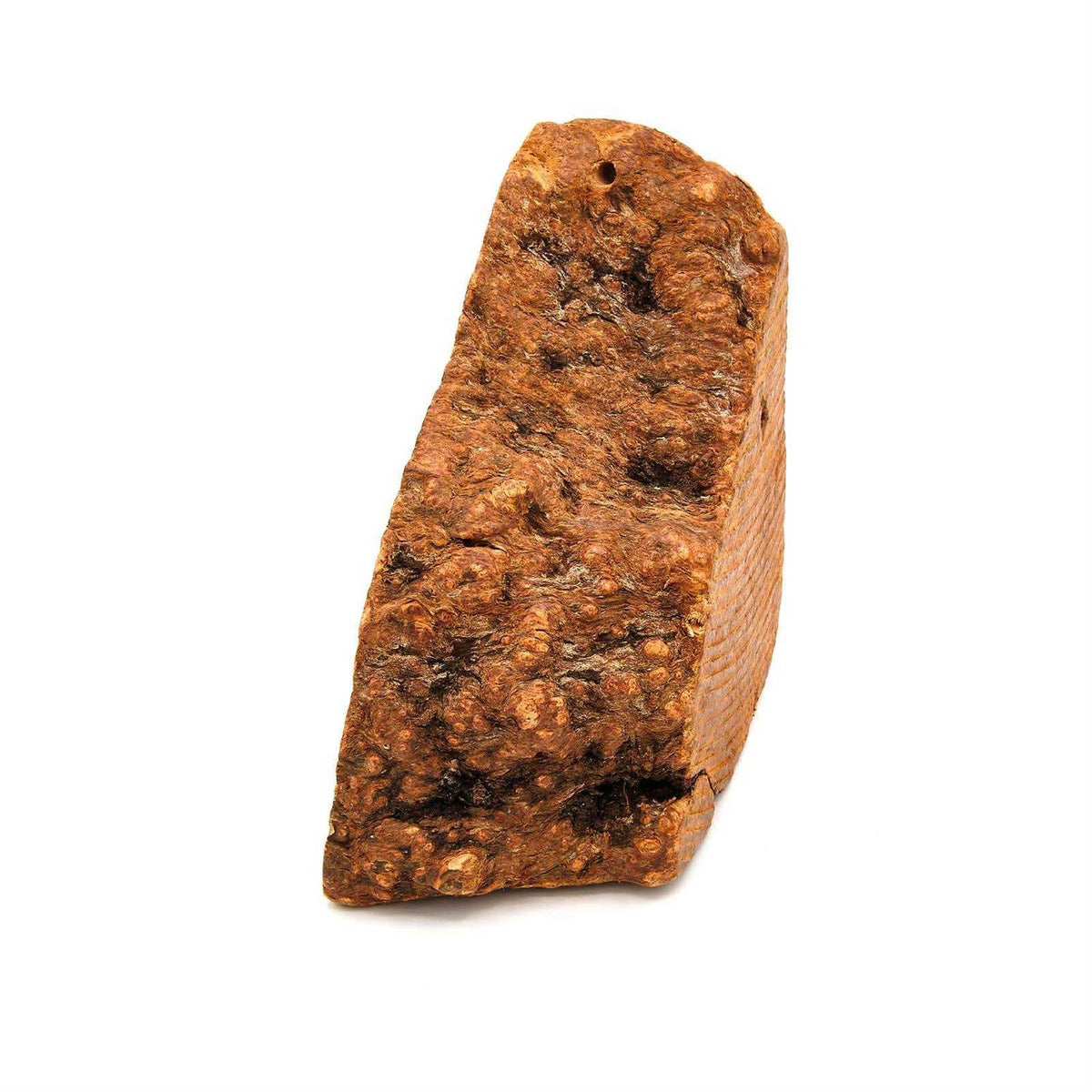 Tree Wood Dog Chew E72870