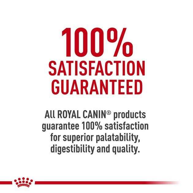 Adult Advanced Mobility Support Canned Dog Food T639232