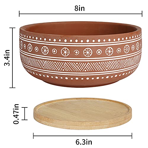 8 Inch Terracotta Succulent Planter Pot with Drainage Hole and Bamboo Tray D695