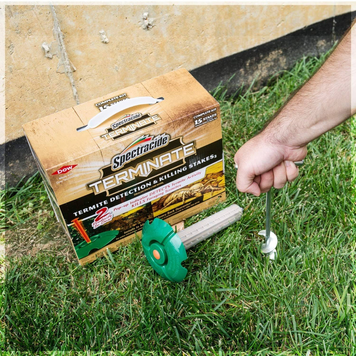 15-Count Termite Detection and Killing Stakes Q563264