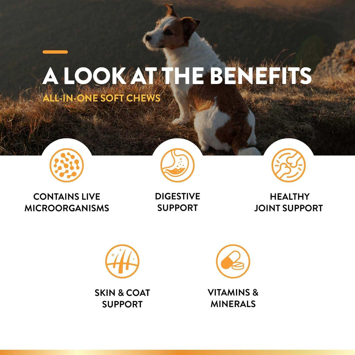 Dog Supplement D351129