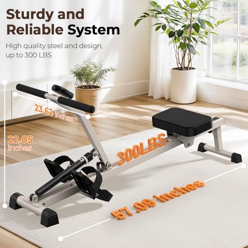 Compact Adjustable Rowing Machine 300LBS Weight Capacity 12 Levels Resistance Foldable Hydraulic Rower Q86963