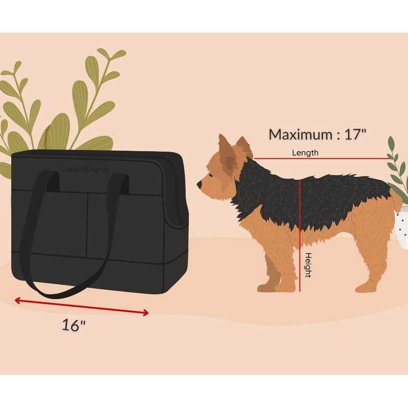 Pet Tote Bag for Small Dogs and Cats J200233