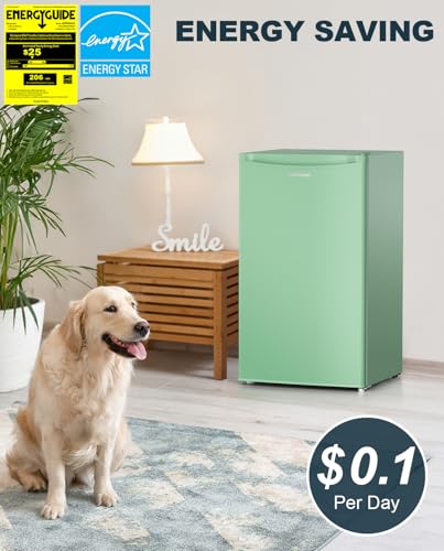 3.2 Cu.Ft Single Door Mini Fridge with Freezer, Black T319871
