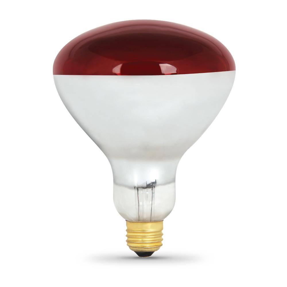 250-Watt 120-Volt Incandescent Red Heat Lamp Light Bulb 12-Pack G150