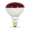 250-Watt 120-Volt Incandescent Red Heat Lamp Light Bulb 12-Pack G150