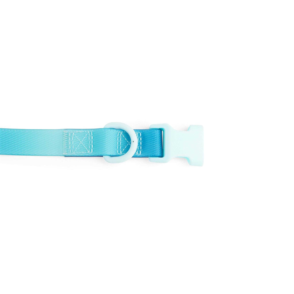 Purple Ombre Wipeable Dog Collar L698747