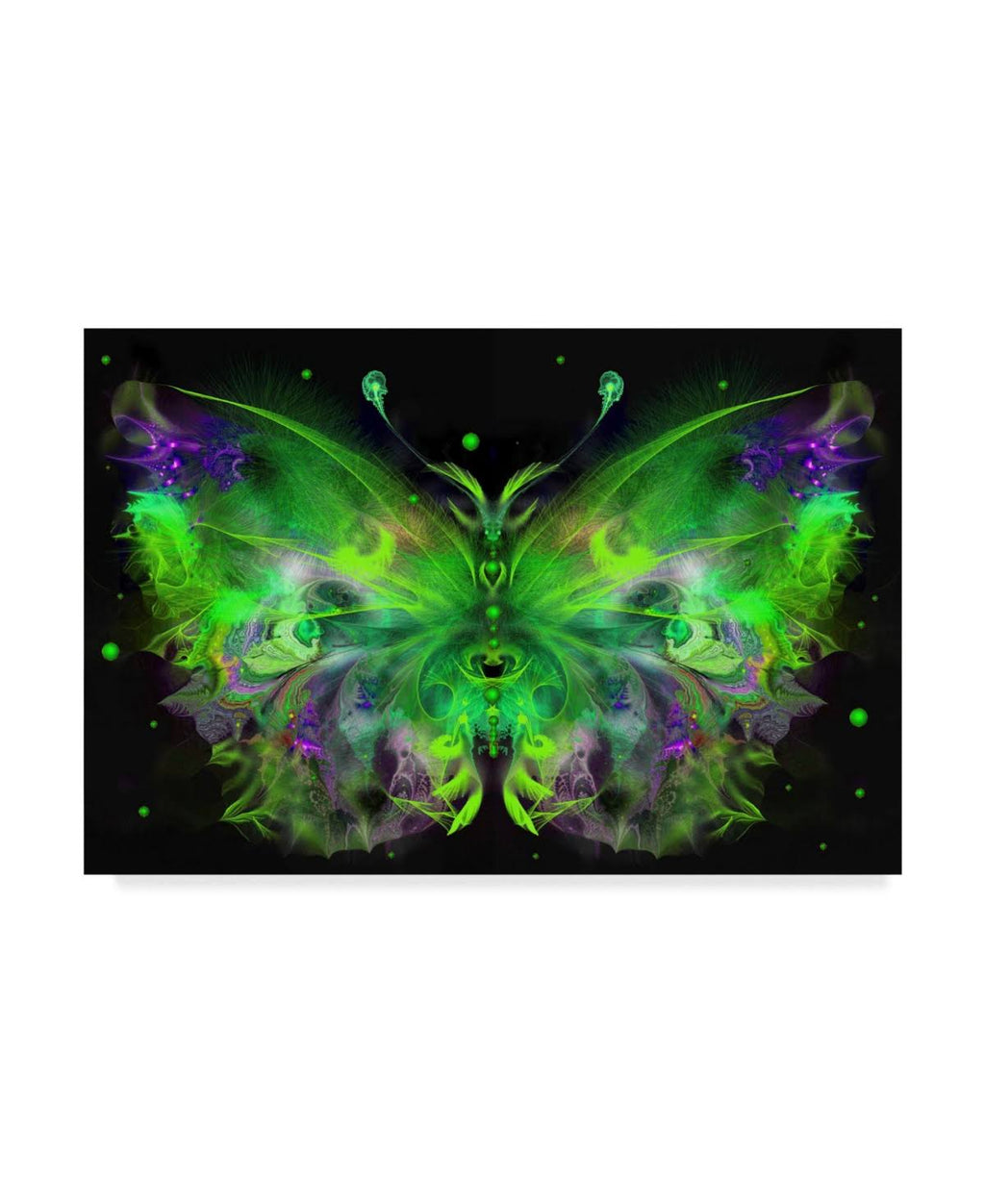Canvas Art D2197
